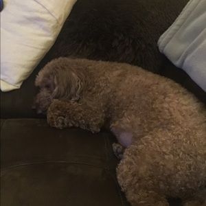 Meet your Posher, Edwina